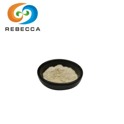 Premium Spermidine Powder